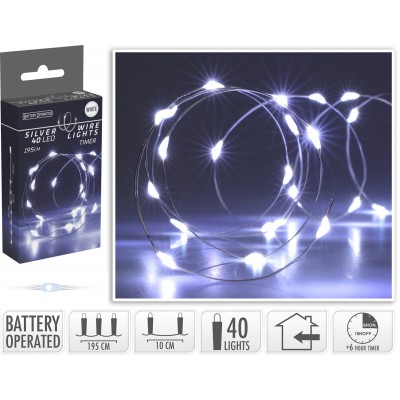 Filo luminoso 40 LED luce fredda con timer