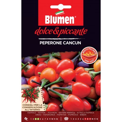 Blumen semi peperone piccante cancun