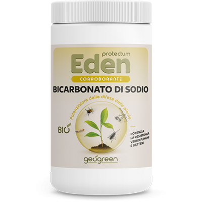 Eden protectum bicarbonato di sodio 250g