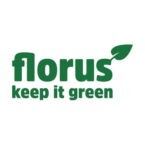 Florus